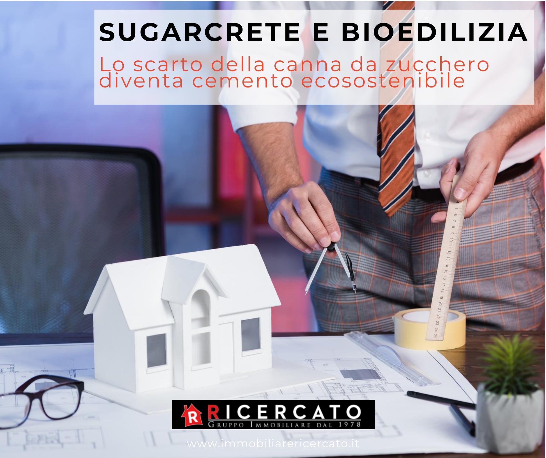 Sugarcrete e bioedilizia agenzia immobiliare ricercato